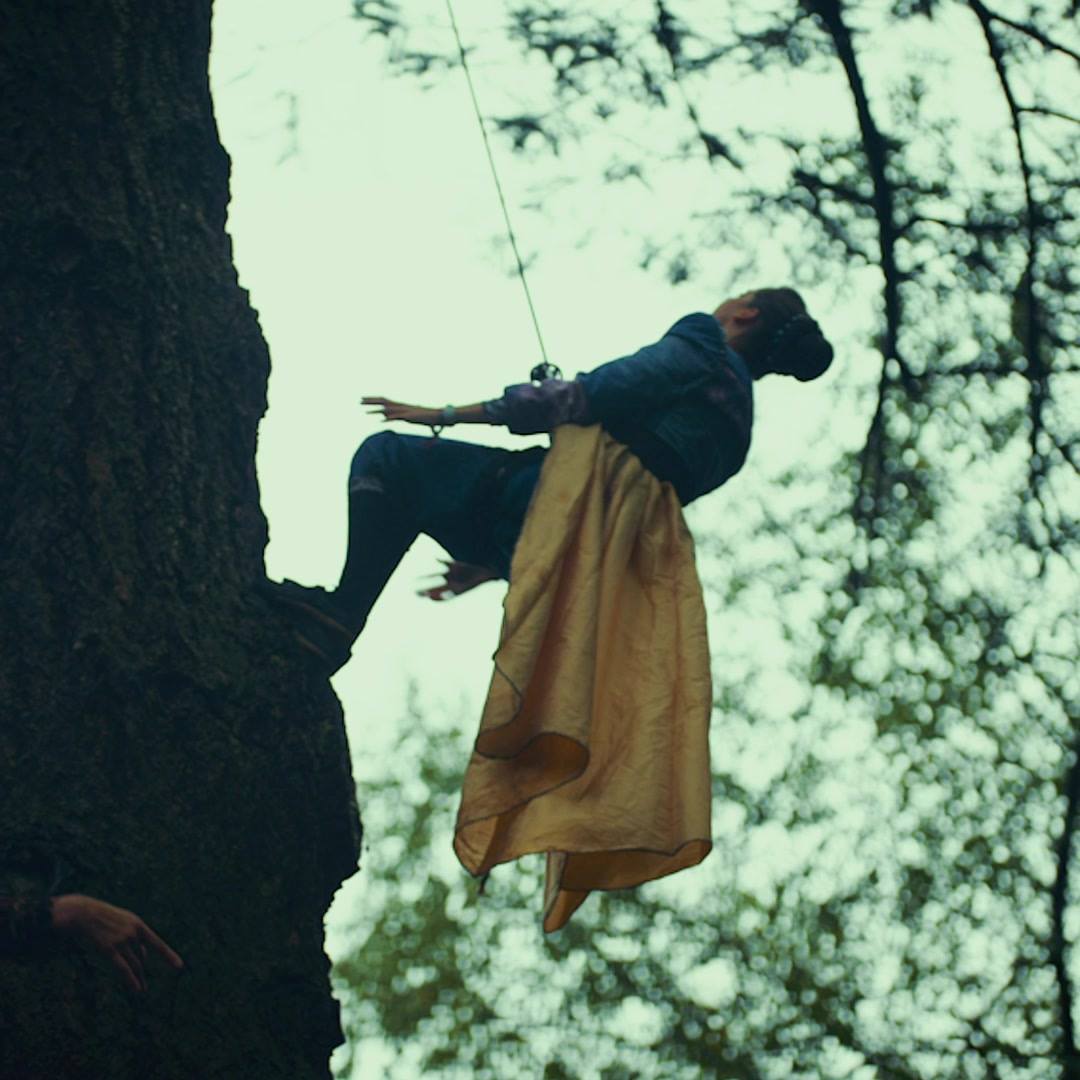 What will you discover in 70 acres of exotic woodlands?