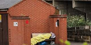 Image may contain: plant and outdoor