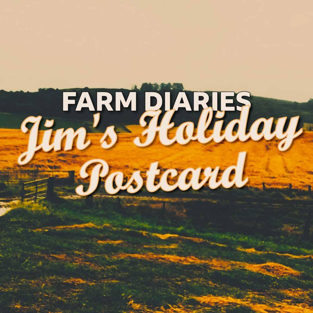 Jim's holiday postcard | Farm Diaries | Short Stuff