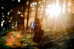 Image may contain: 1 person, tree and outdoor