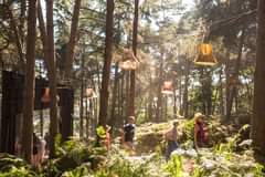 Image may contain: plant, tree, outdoor and nature