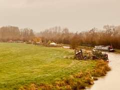 Image may contain: grass, tree, sky, outdoor and nature