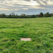 Image may contain: cloud, sky, grass, tree, plant, outdoor and nature