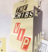 Image may contain: text that says "THE CRIBS up"