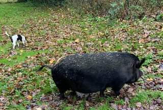 Image may contain: outdoor and nature