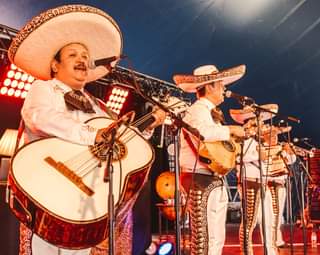 Image may contain: 1 person, playing a musical instrument, on stage, hat and night