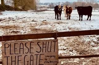 Image may contain: tree, sky, outdoor and nature