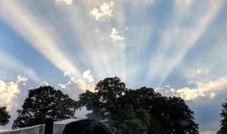 May be an image of sky and tree