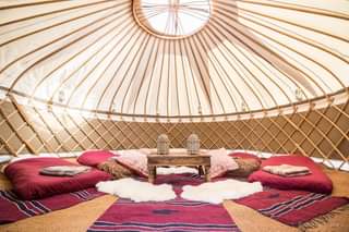 No photo description available.