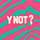 Y Not Festival, profile picture