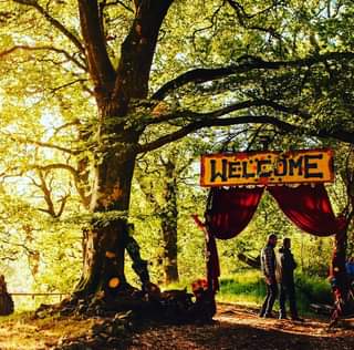 May be an image of tree and outdoors