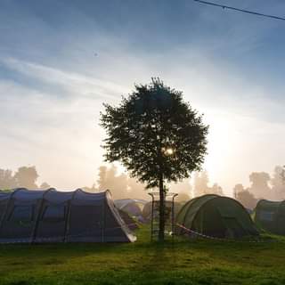 May be an image of tree and outdoors