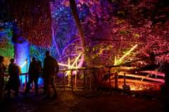 May be an image of 4 people