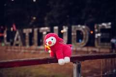 May be an image of 1 person