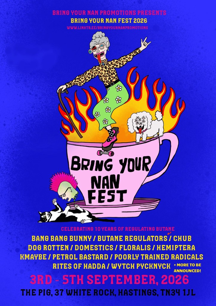 Bring Your Nan Fest, picture 1